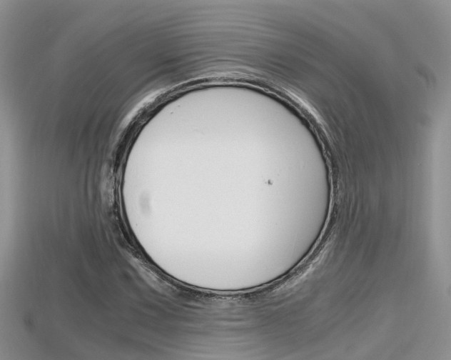 X0000115681067200911120942
