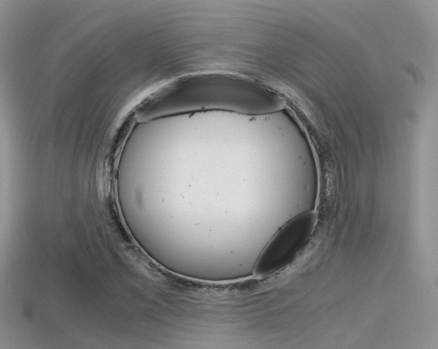 X0000115681069200911120942