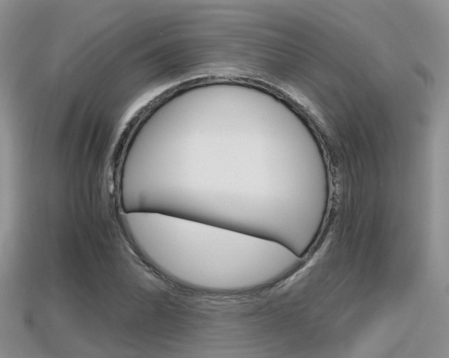 X0000115681070200911120942