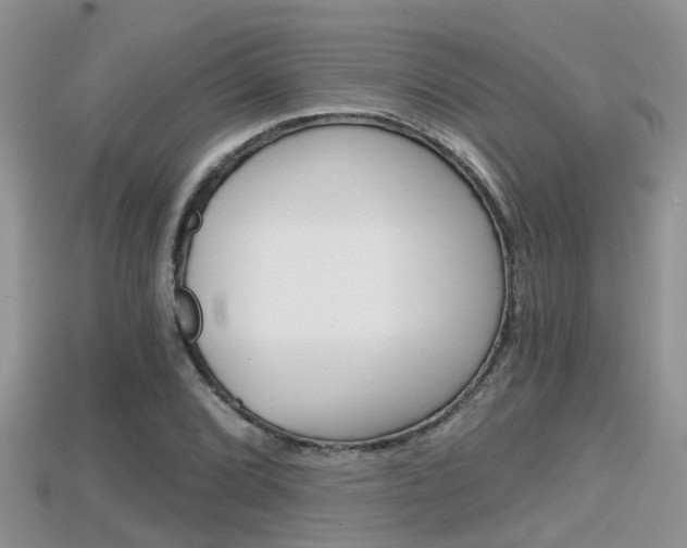 X0000115681072200911120942