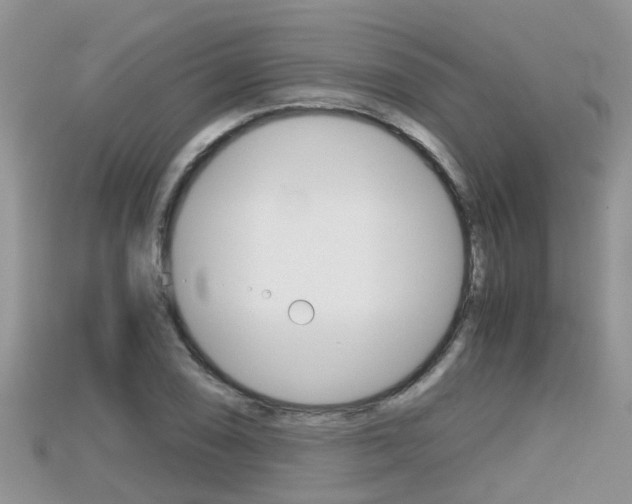 X0000115681074200911120942