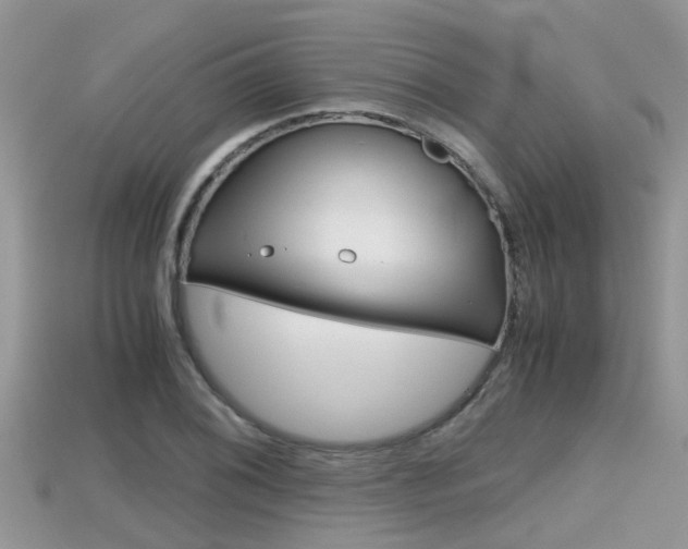 X0000115681076200911120942