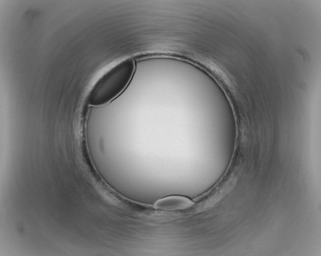X0000115681077200911120942