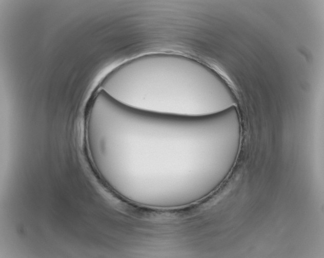 X0000115681079200911120942