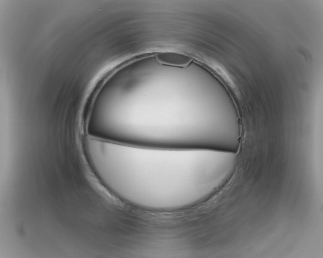 X0000115681080200911120942