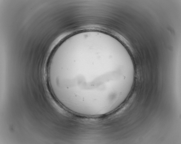 X0000115681082200911120942
