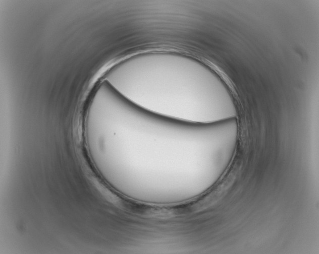 X0000115681083200911120942