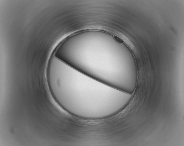 X0000115681084200911120942