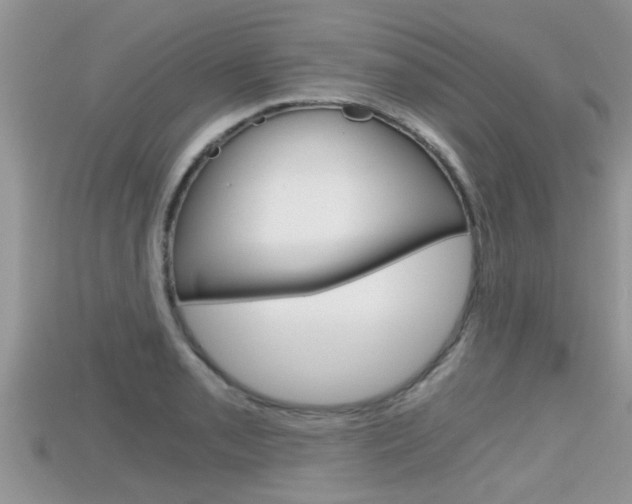 X0000115681085200911120942