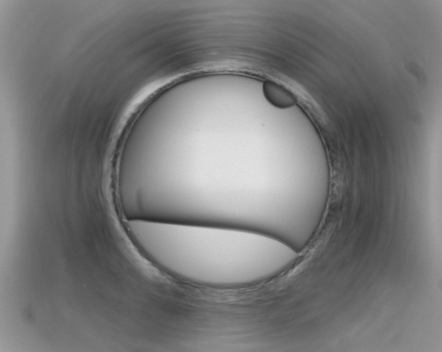 X0000115681086200911120942