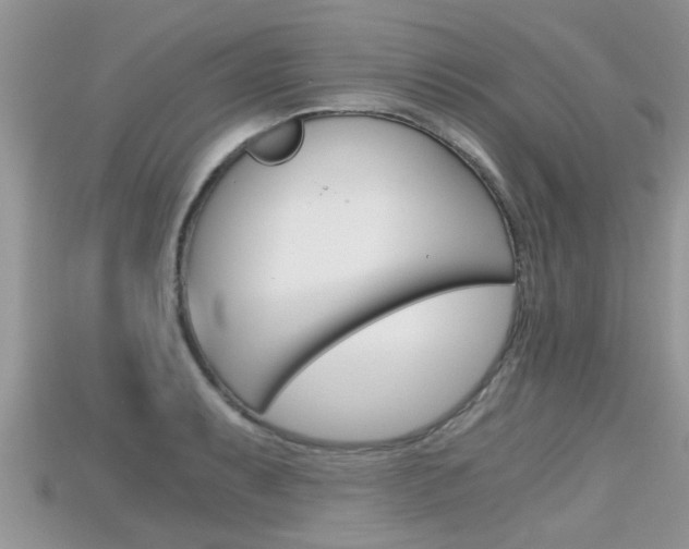 X0000115681087200911120942