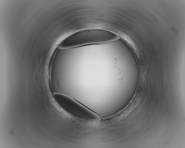 X0000115681088200911120942