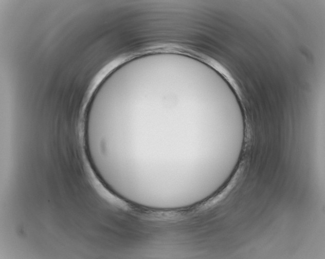 X0000115681090200911120942