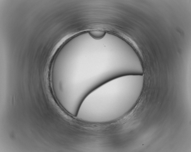 X0000115681091200911120942