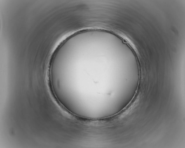 X0000115681093200911120942