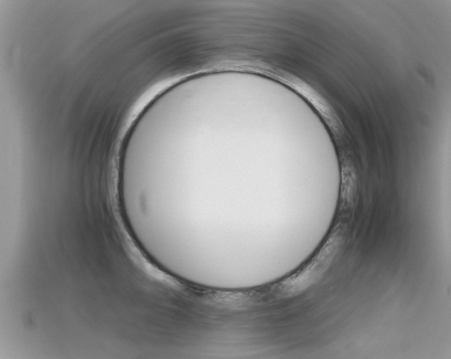 X0000115681094200911120942