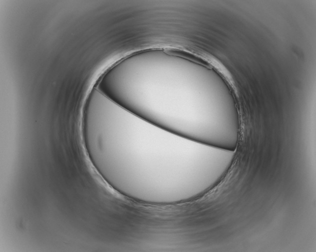 X0000115681096200911120942