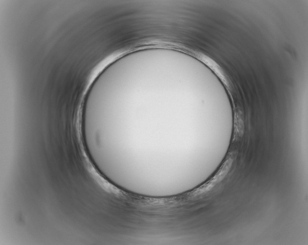 X0000115681098200911120942