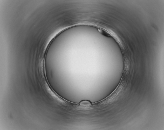 X0000115681100200911120942