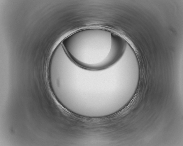X0000115681101200911120942