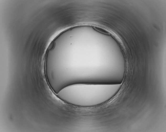 X0000115681102200911120942