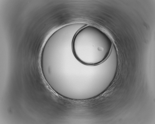 X0000115681104200911120942