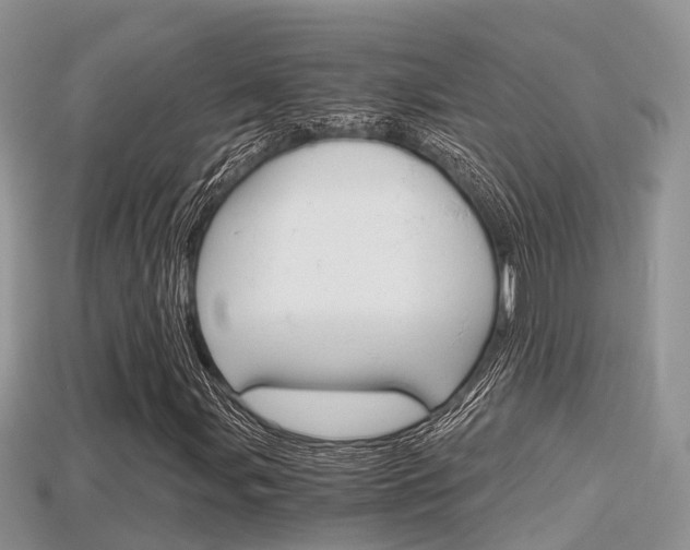 X0000115681107200911120941