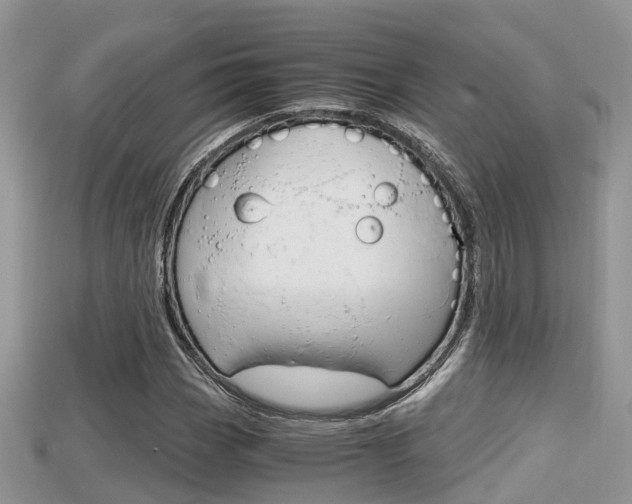 X0000115681113200911120941