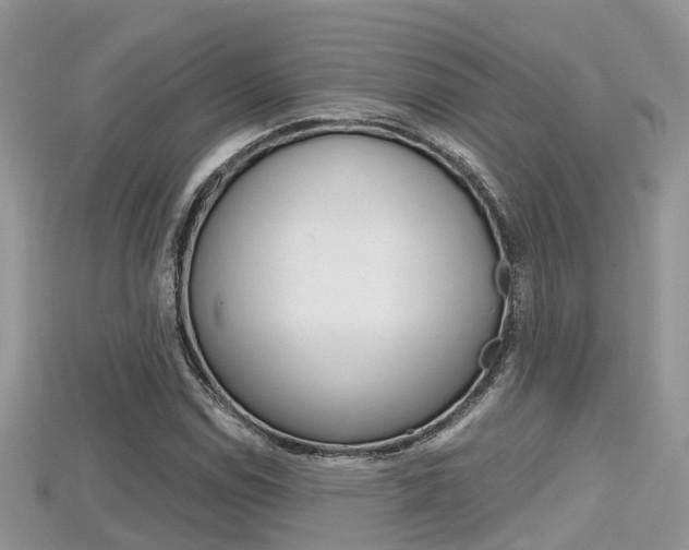 X0000115681114200911120941
