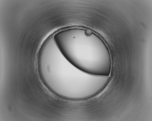 X0000115681118200911120941