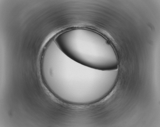 X0000115681122200911120941