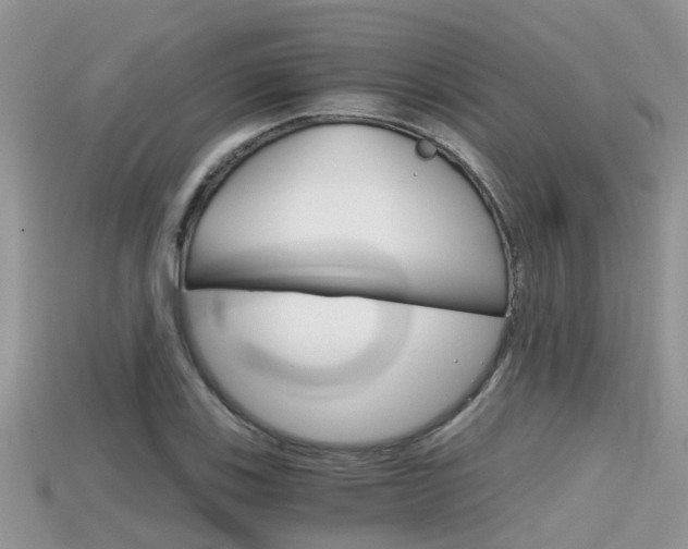 X0000115681123200911120941