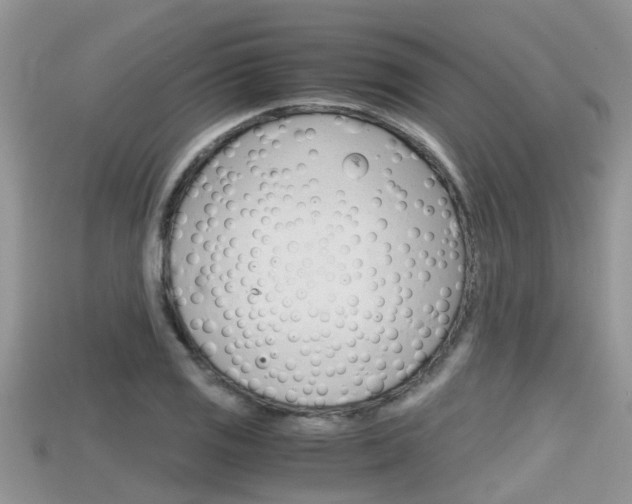 X0000115681125200911120941