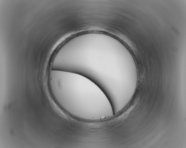 X0000115681126200911120941
