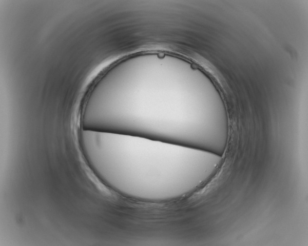 X0000115681127200911120941