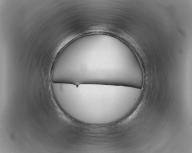 X0000115681129200911120941