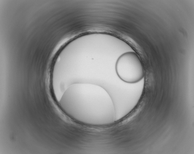 X0000115681130200911120941