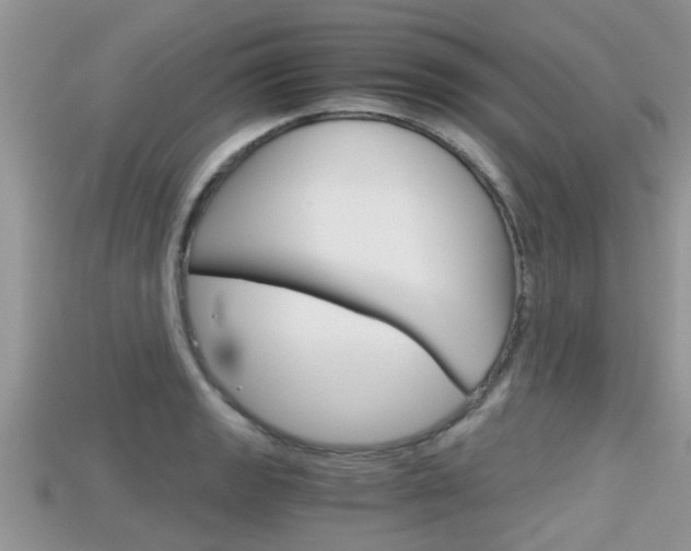 X0000115681133200911120941
