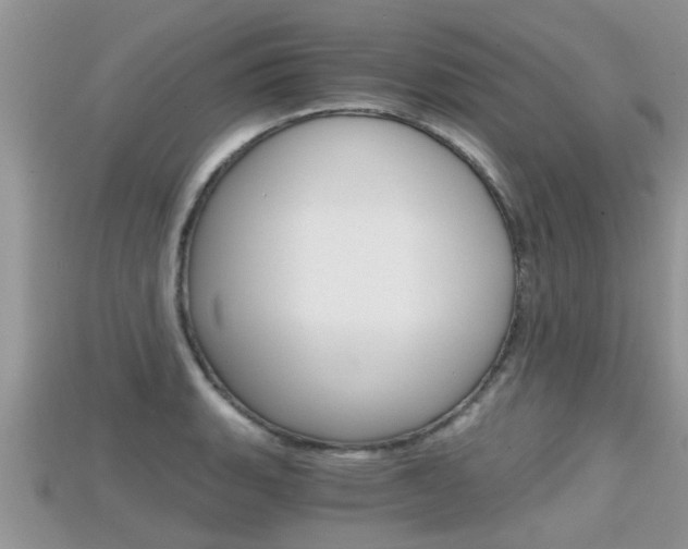 X0000115681135200911120941
