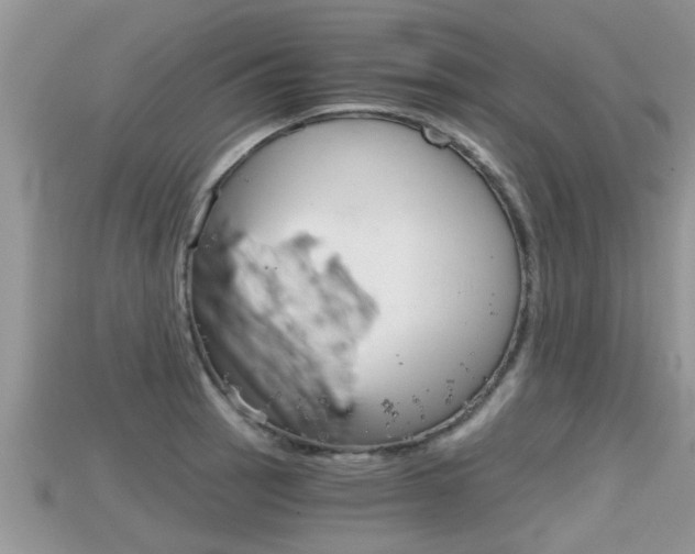 X0000115681137200911120941