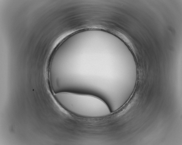 X0000115681141200911120941