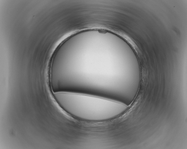 X0000115681142200911120942