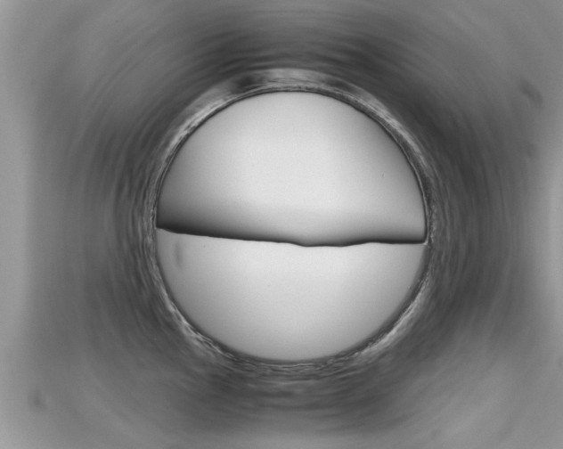X0000115681145200911120942