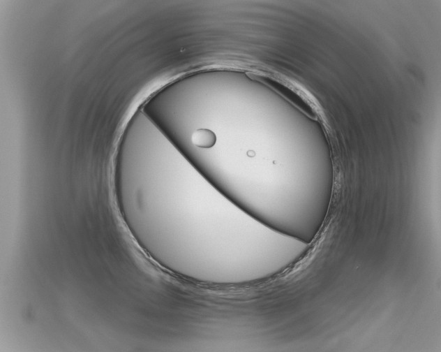 X0000115681146200911120942
