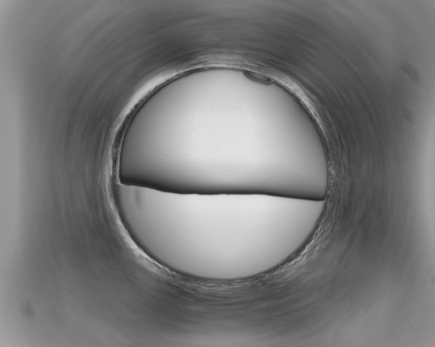 X0000115681147200911120942