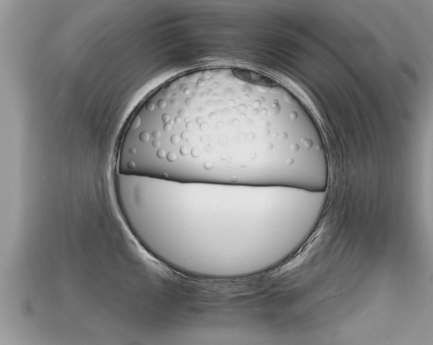 X0000115681149200911120942