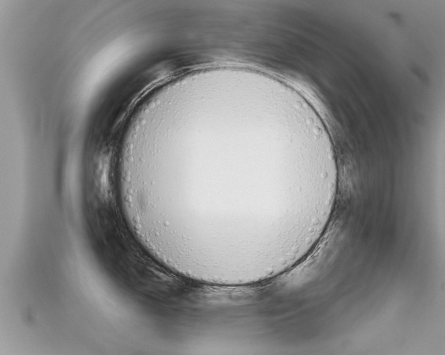 X0000115681150200911120942