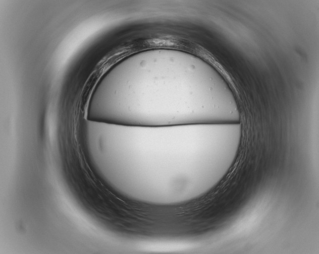 X0000115681151200911120942
