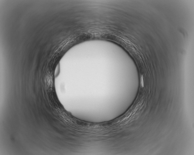 X0000115681155200911120941
