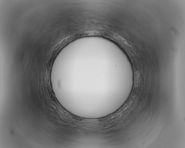 X0000115681158200911120941